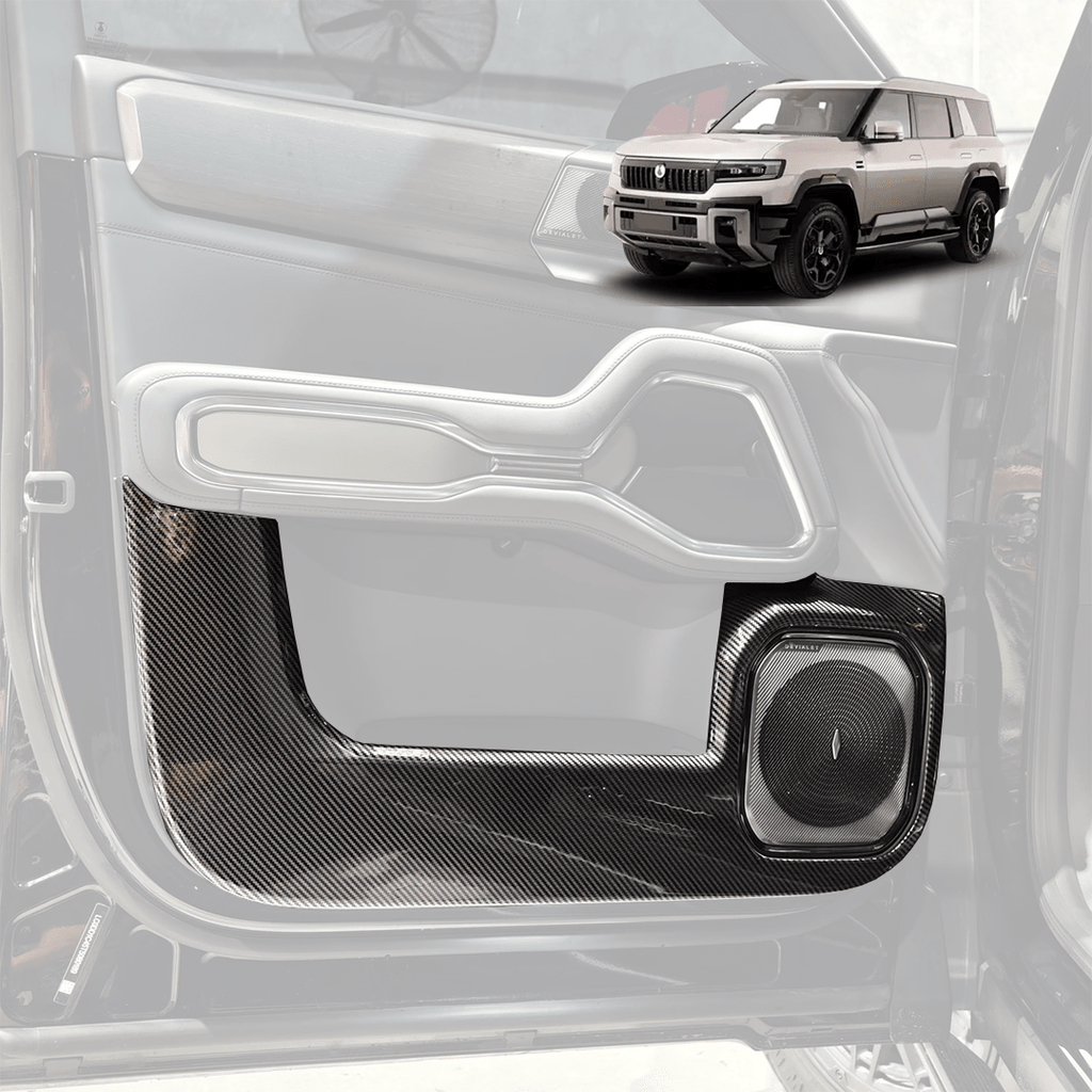 Carbon Series Door Card Scuff Protectors - Denza B8