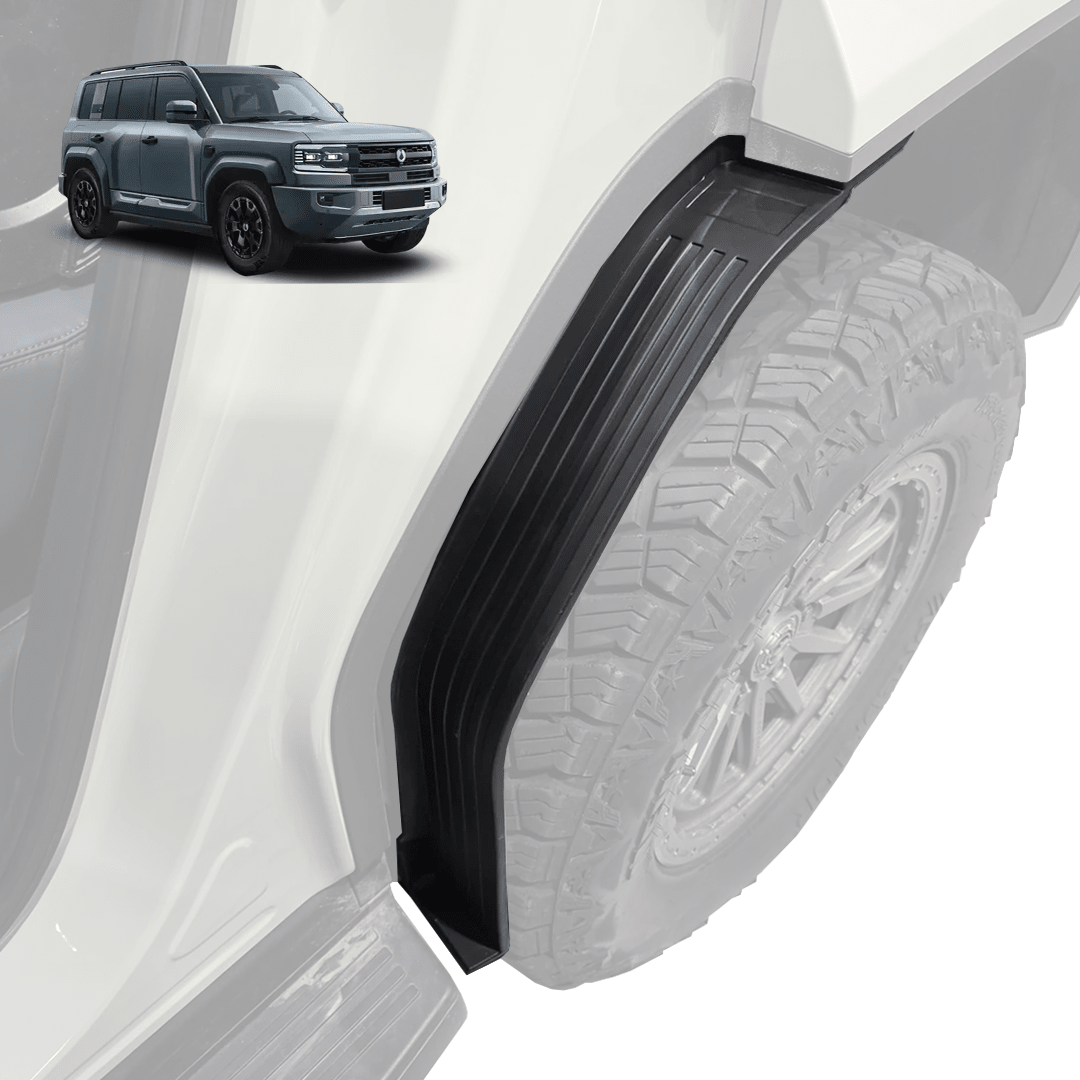 Rear Door Mud Guards - Denza B5