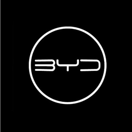 BYD PUDDLE DOOR LIGHTS image 4