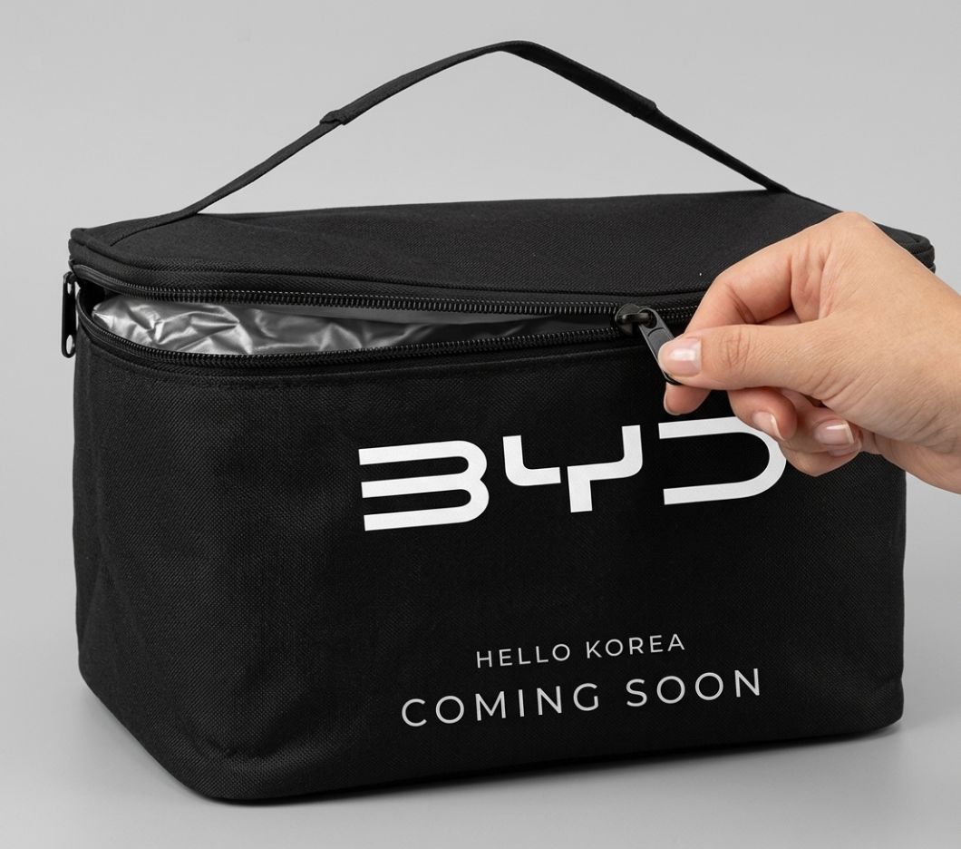 BYD Insulated Lunch Bag