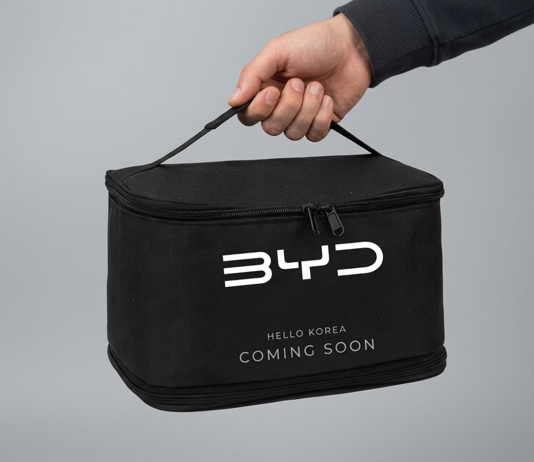 BYD Insulated Lunch Bag - Image 2