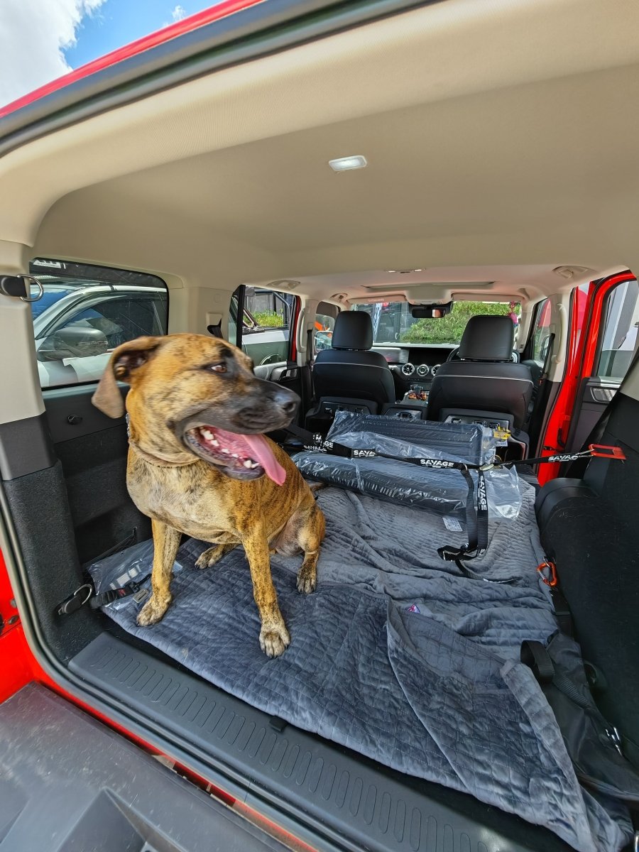 TANK 300 DOG CENTRE HARNESS image 3