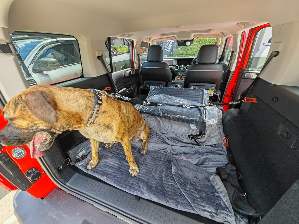 TANK 300 DOG CENTRE HARNESS image 5