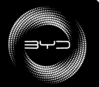 BYD PUDDLE DOOR LIGHTS image 6