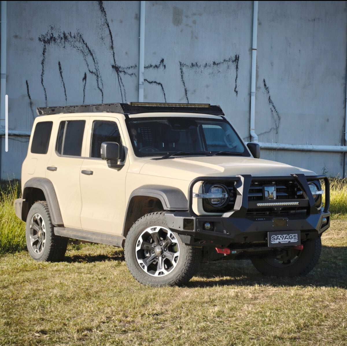 TANK 300 ARMOUR (HOOPED) BULL BAR ALL MODELS image 8